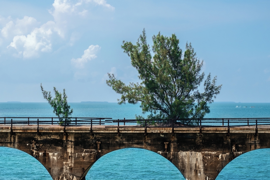 underwater-photography-florida-keys_0005