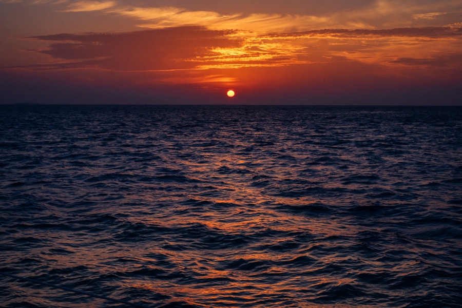 underwater-photography-florida-keys_0019