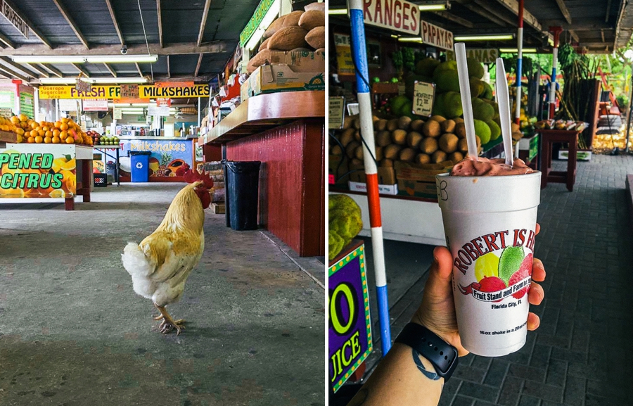 underwater-photography-florida-keys_0035