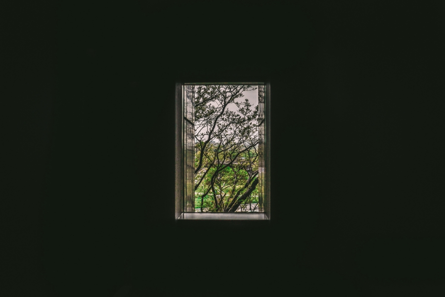 grounds-for-sculpture-wedding-nj_0001