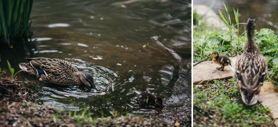 grounds-for-sculpture-wedding-nj_0073