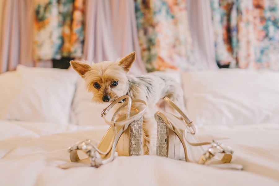 Long-Island-Wedding-Photographers-Westbury-Gardens-Photos_0012