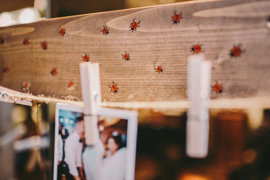 Long-Island-Wedding-Photographers-Westbury-Gardens-Photos_0116