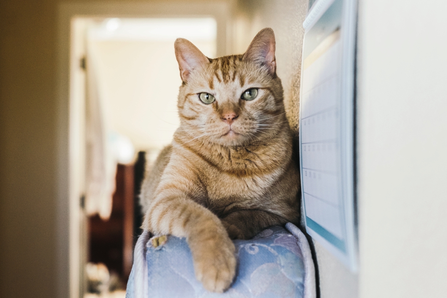 seattle-travel-photography_0004