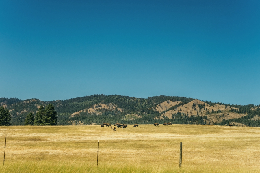 seattle-travel-photography_0021