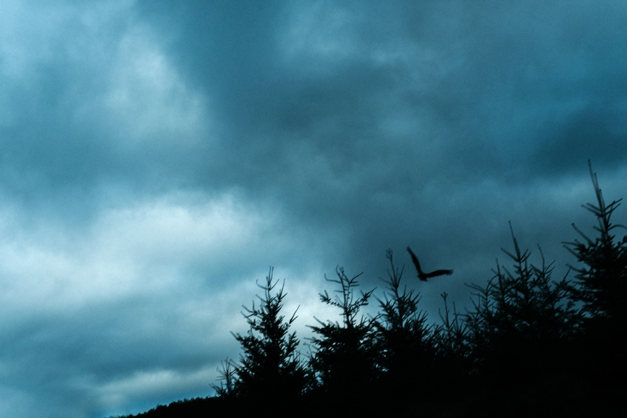 seattle-travel-photography_0051