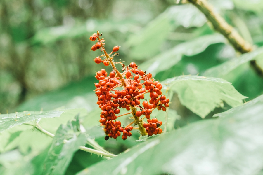 seattle-travel-photography_0064