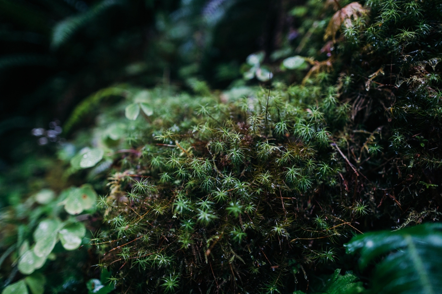 seattle-travel-photography_0067