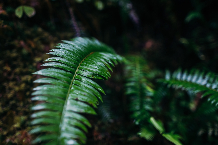 seattle-travel-photography_0068