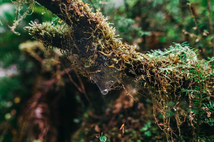 seattle-travel-photography_0069