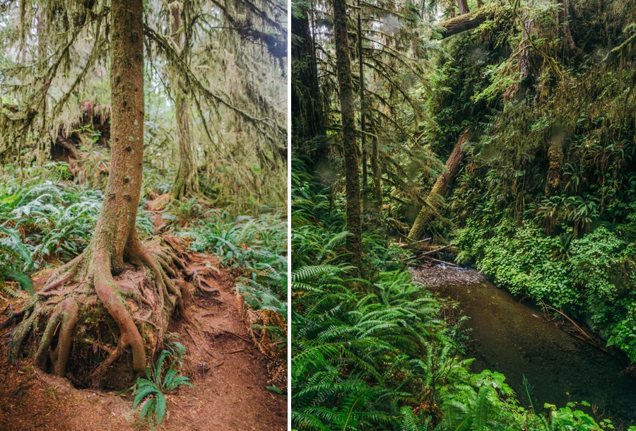 seattle-travel-photography_0070