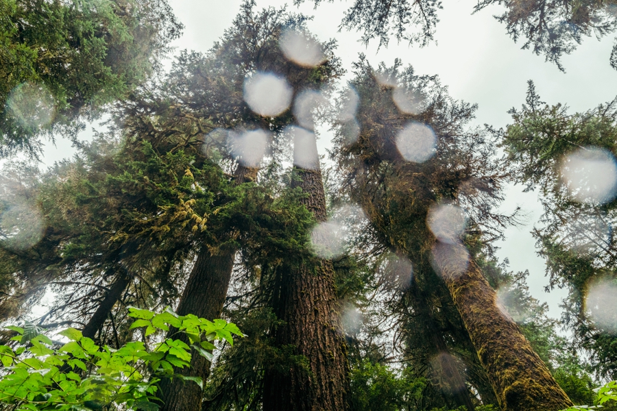 seattle-travel-photography_0071