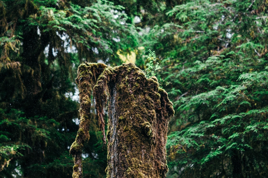 seattle-travel-photography_0073