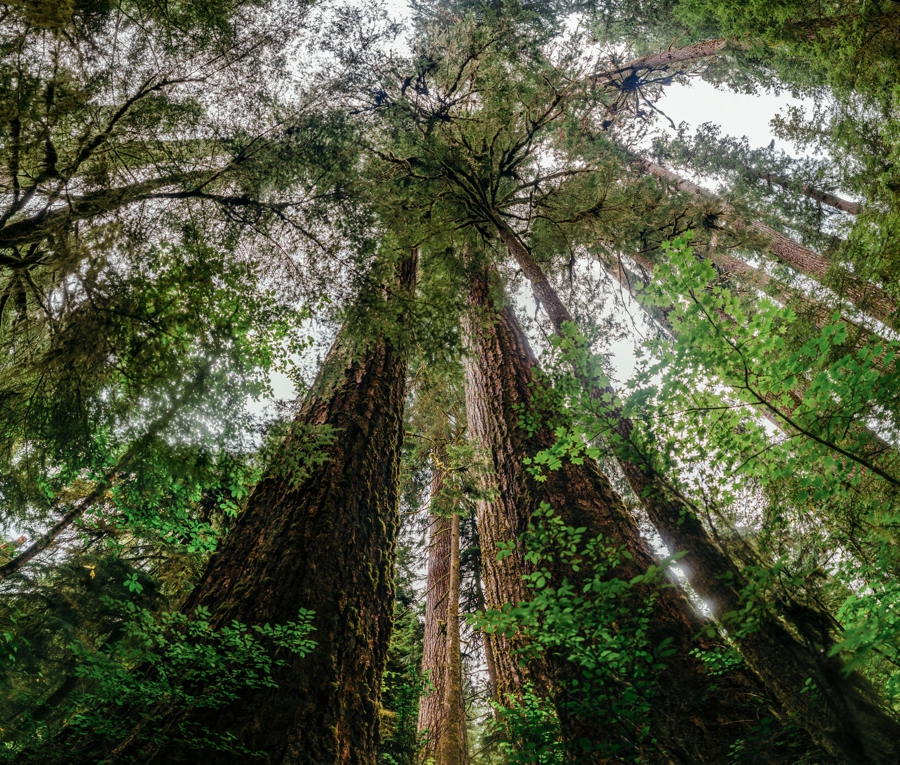 seattle-travel-photography_0076