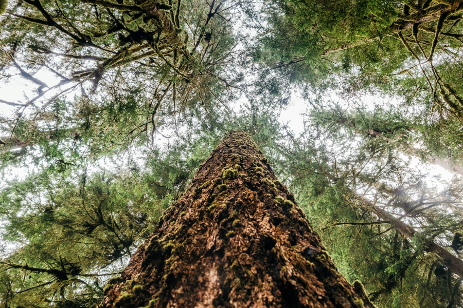 seattle-travel-photography_0077