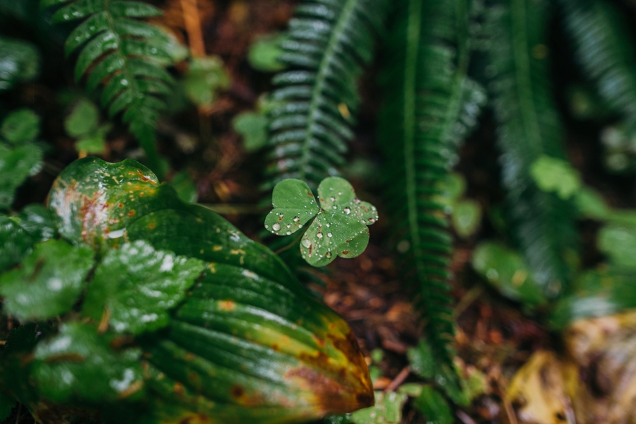 seattle-travel-photography_0079