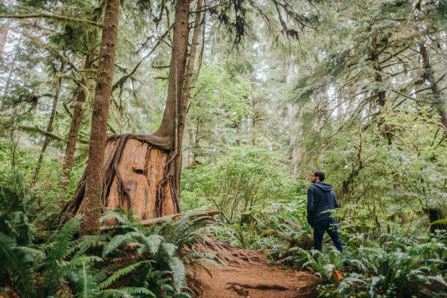 seattle-travel-photography_0080