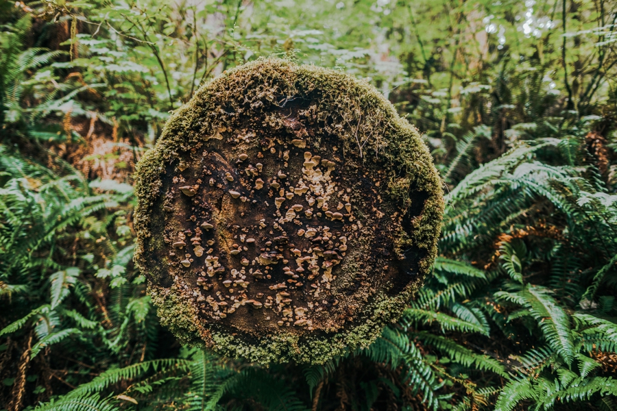 seattle-travel-photography_0083