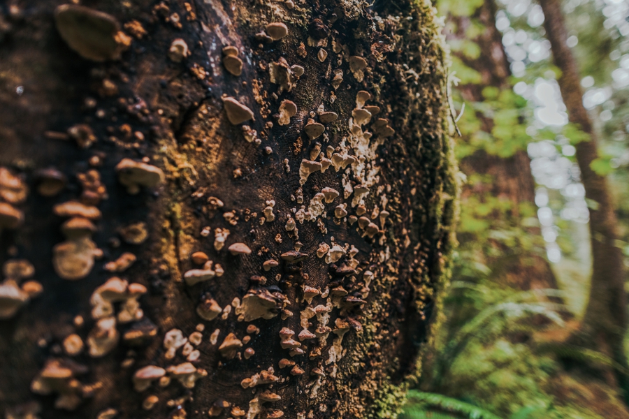 seattle-travel-photography_0084