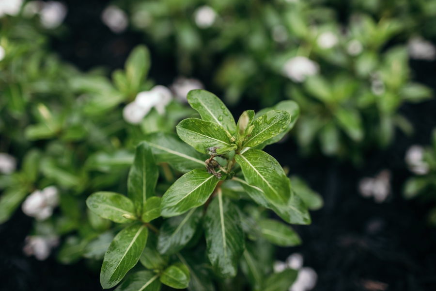 rainy-wedding-in-new-jersey_0002