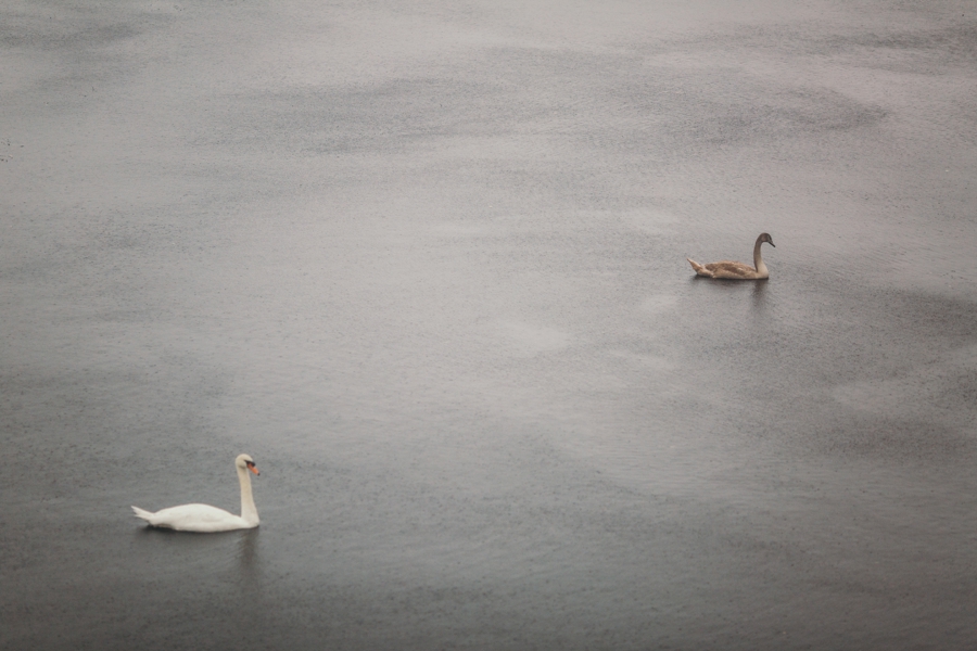 rainy-wedding-in-new-jersey_0064