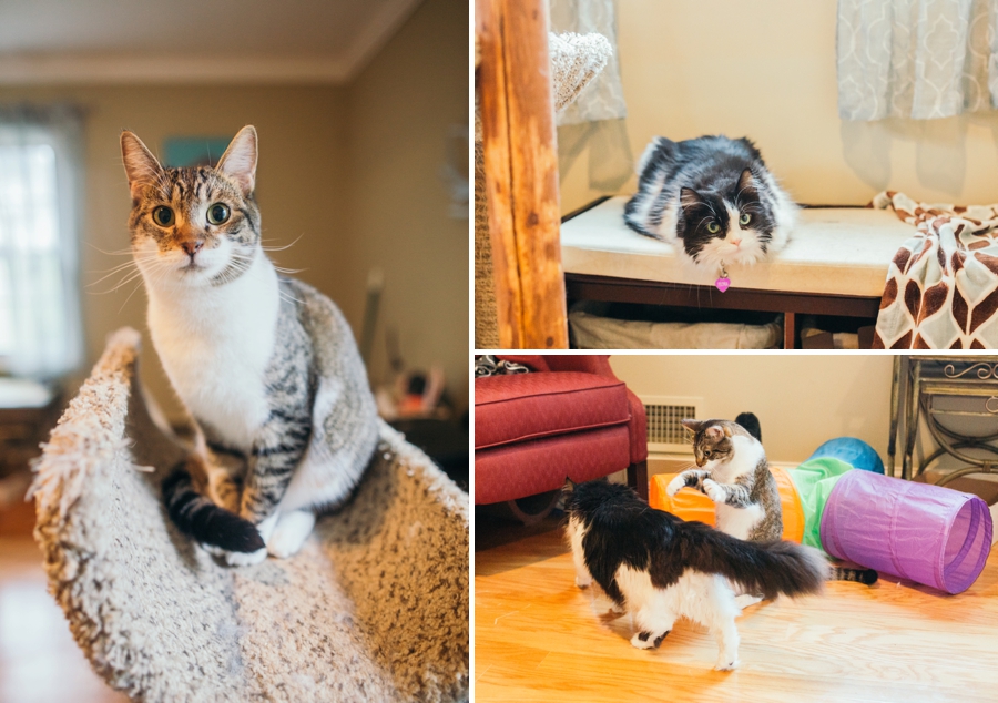 rainy-wedding-in-new-jersey_0103