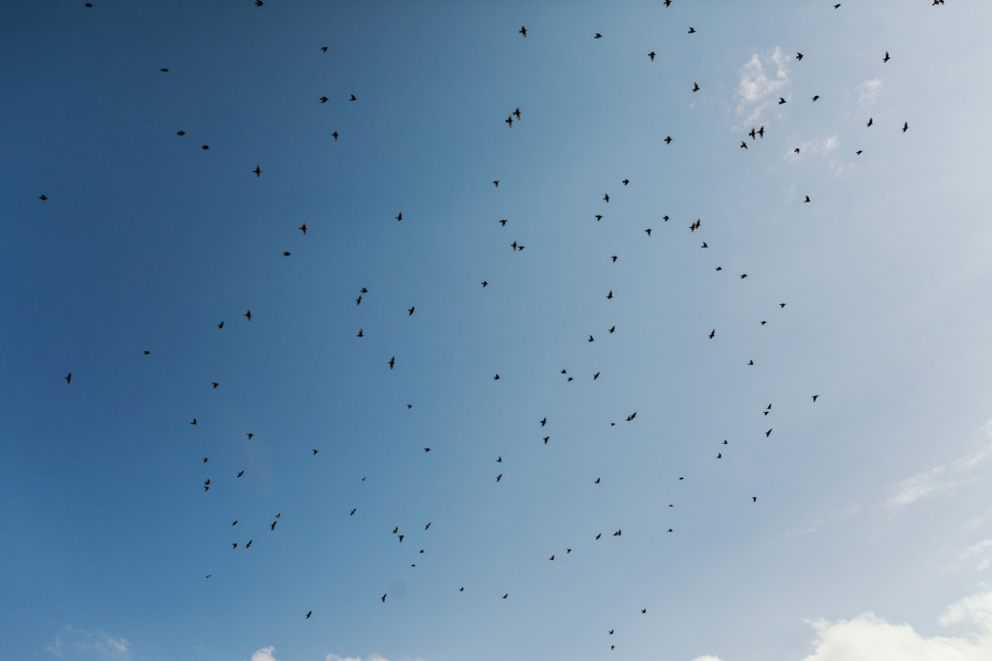 pen-ryn-mansion-wedding_0039