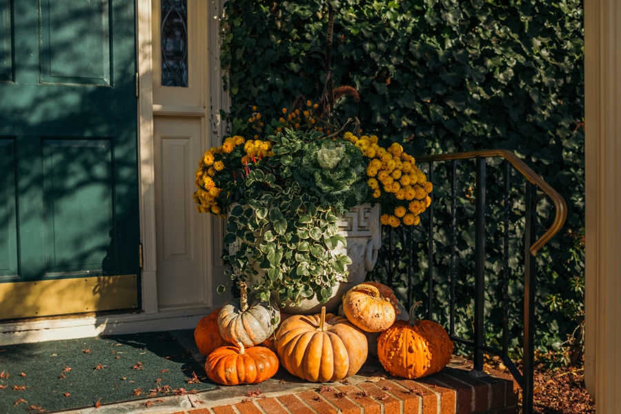 davids-country-inn-wedding-photography_0003
