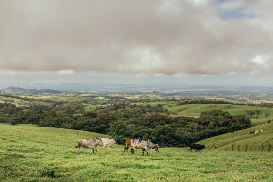 costa-rica-destination-wedding-photographers_0003