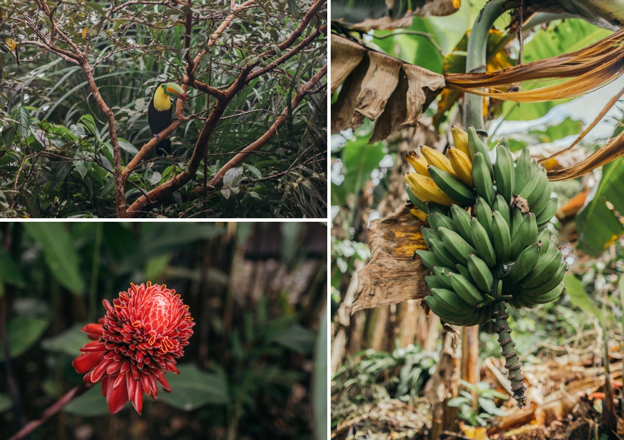 costa-rica-destination-wedding-photographers_0006