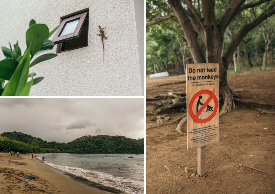 costa-rica-destination-wedding-photographers_0010