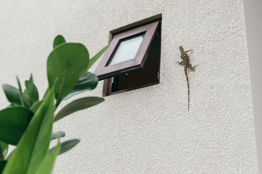 costa-rica-nicaragua-travel-photography_0007