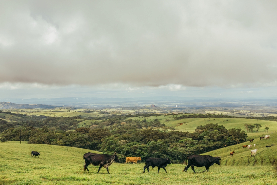 costa-rica-nicaragua-travel-photography_0010