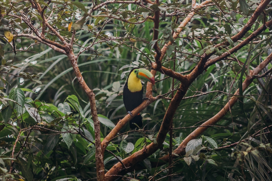 costa-rica-nicaragua-travel-photography_0012