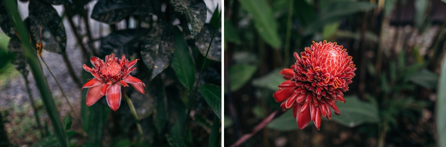 costa-rica-nicaragua-travel-photography_0022