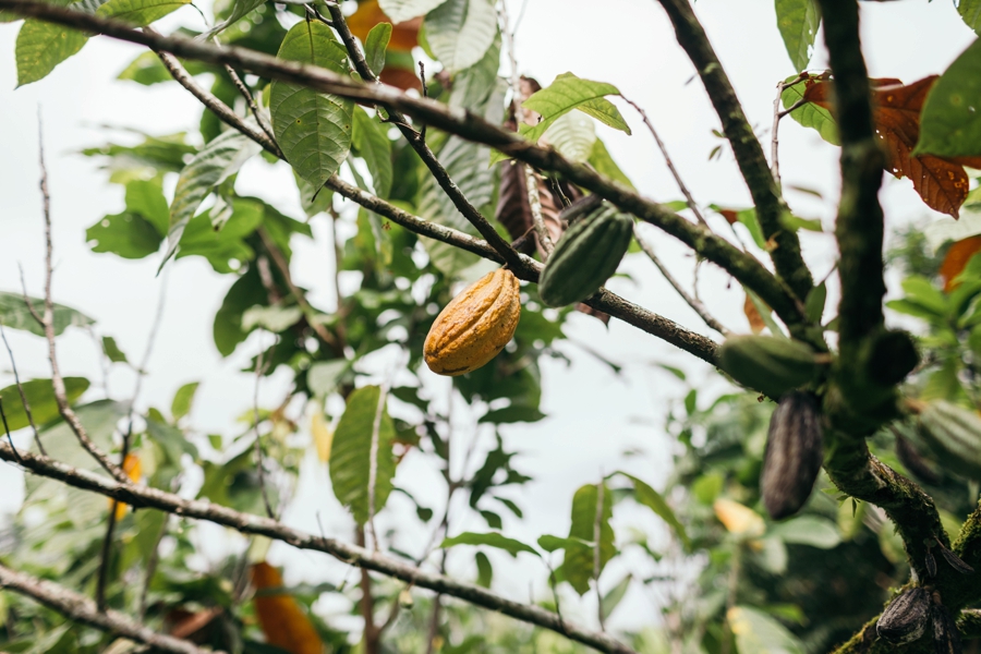 costa-rica-nicaragua-travel-photography_0023