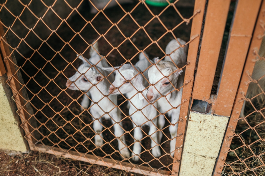 costa-rica-nicaragua-travel-photography_0024