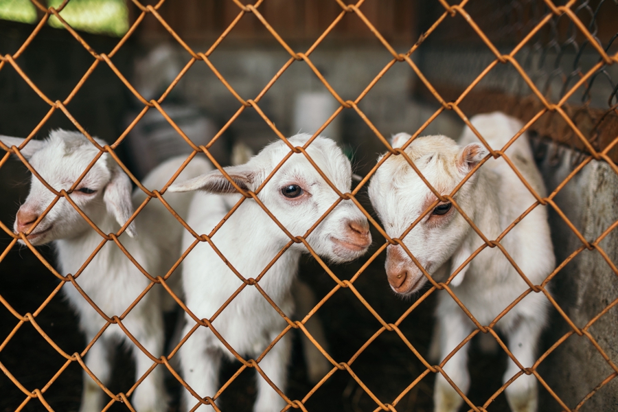 costa-rica-nicaragua-travel-photography_0025