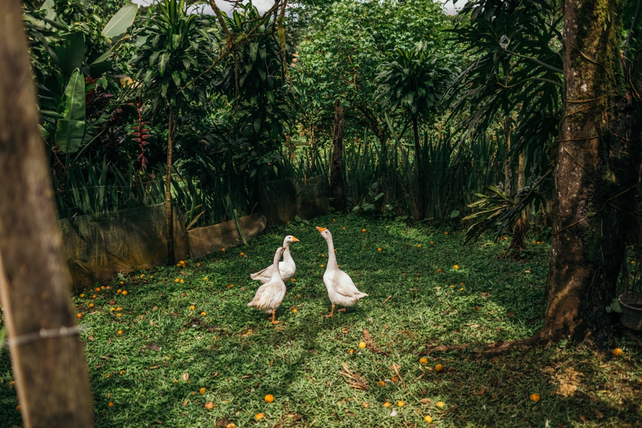 costa-rica-nicaragua-travel-photography_0026