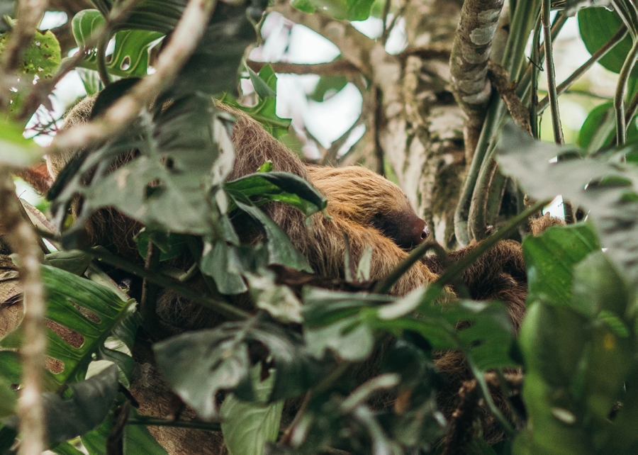 costa-rica-nicaragua-travel-photography_0029