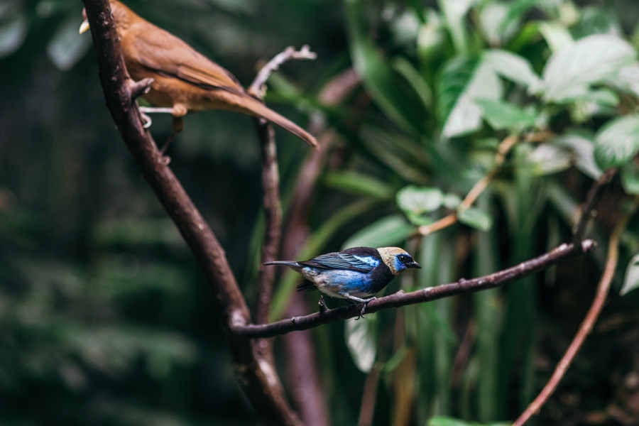 costa-rica-nicaragua-travel-photography_0030