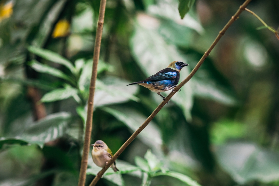 costa-rica-nicaragua-travel-photography_0031