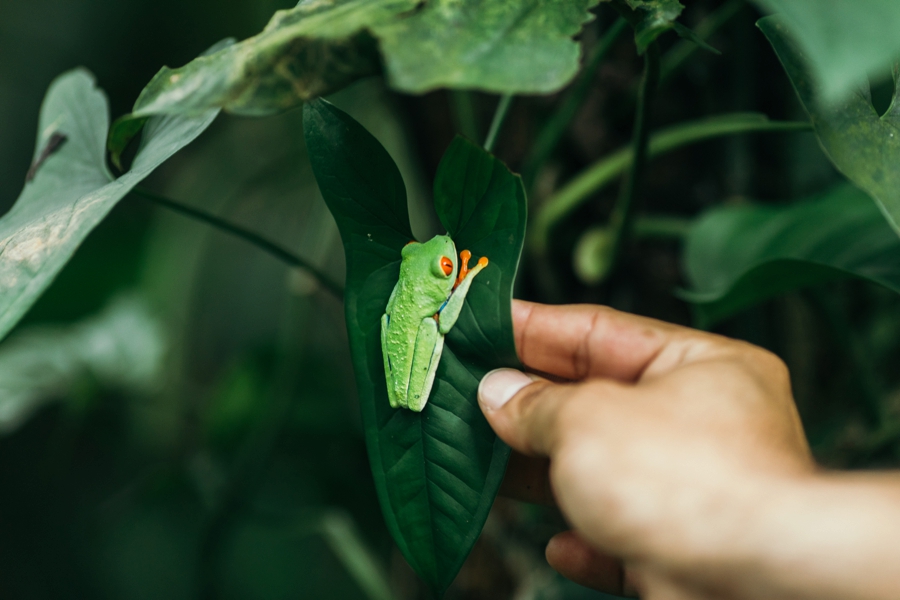 costa-rica-nicaragua-travel-photography_0033