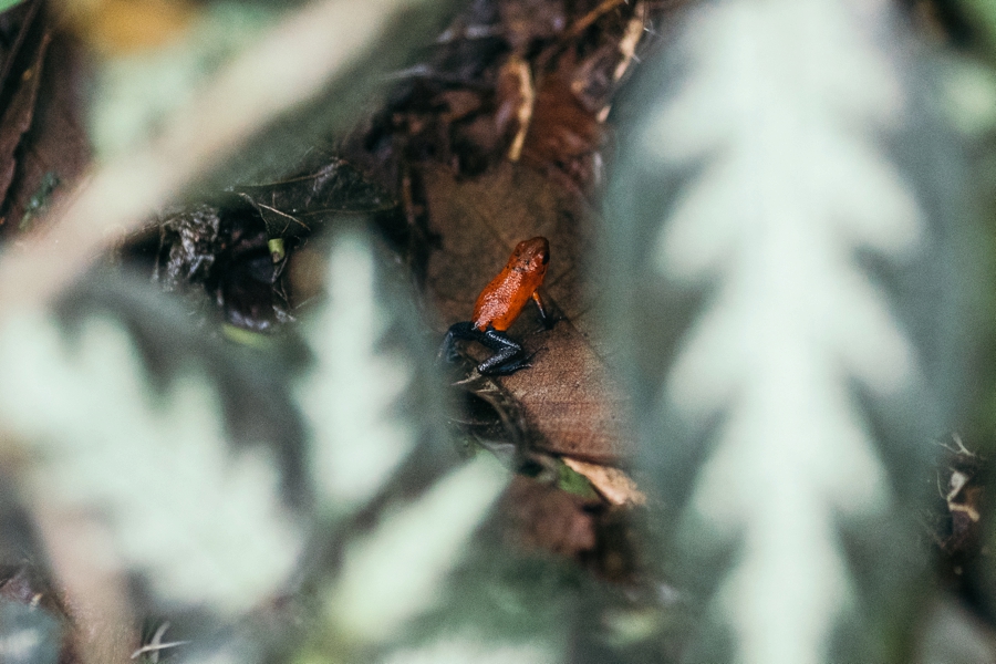 costa-rica-nicaragua-travel-photography_0034