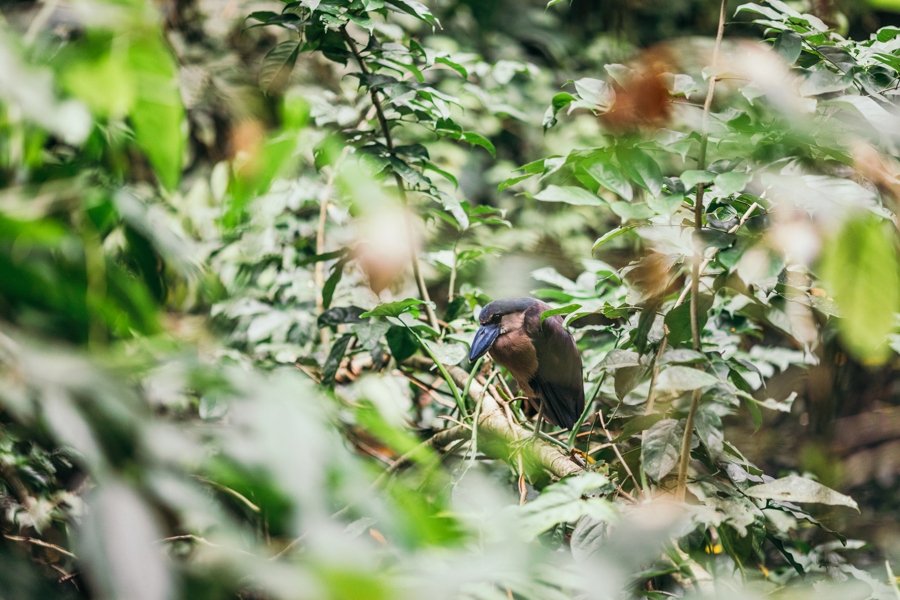 costa-rica-nicaragua-travel-photography_0037