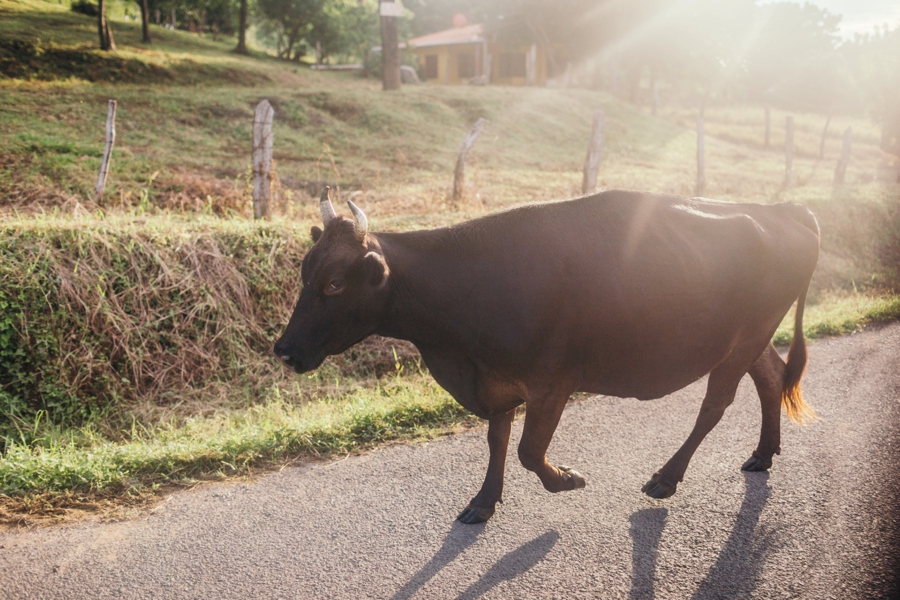 costa-rica-nicaragua-travel-photography_0052