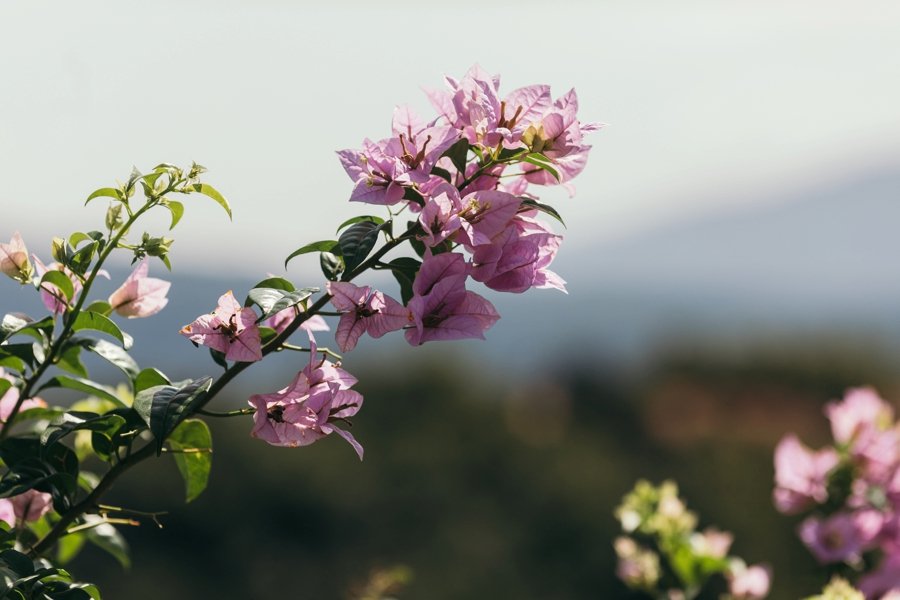 costa-rica-nicaragua-travel-photography_0061